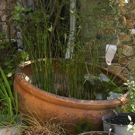 ベッド・アンド・ブレックファスト D'hotes 3*