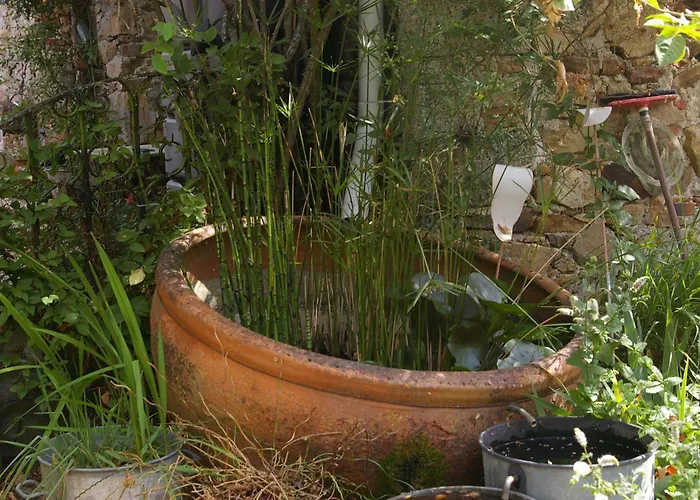 Bed & Breakfast D'hotes 3*