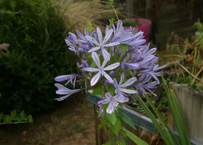 D'hotes La Guiltiere